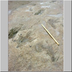 2000b-dsk14-MVC-006F-m (2).jpg